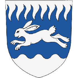 567 Helsinginseudun Soanlahtelaiset ry