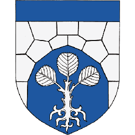 1655 Sukunimeni LEPIKKÖ Sukuseura ry