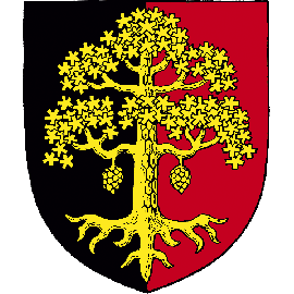 251 TIMONEN (sukuseura)