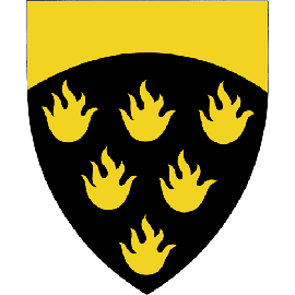 667 LIIKANEN (Liikasten Sukuseura ry)